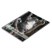 merkwürdig koala notizblock (Linke Seite)