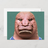Merkwürdiger Herr Walrus Postcard Postkarte (Vorne/Hinten)
