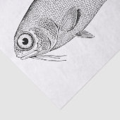 Merkwürdiges Vintages Fischzeichnen Seidenpapier (Ausschnitt)