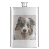 merle aussie flachmann (Vorderseite)