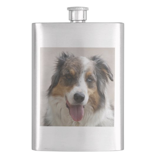 merle aussie flachmann (Vorderseite)