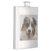 merle aussie flachmann (Rechts)