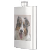 merle aussie flachmann (Links)
