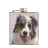 merle aussie flachmann (Vorderseite)