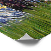 Merle Aussie Shep - Starry Night Poster (Ecke)