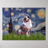 Merle Aussie Shep - Starry Night Poster (Vorne)
