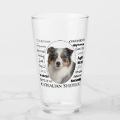 Merle Australian Shepherd Glas (Vorderseite)
