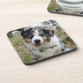 Merle Australian Shepherd Puppy Getränkeuntersetzer (Linke Seite)