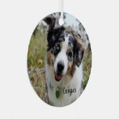 Merle Australian Shepherd Puppy Keramik Ornament (Vorderseite Rechts)