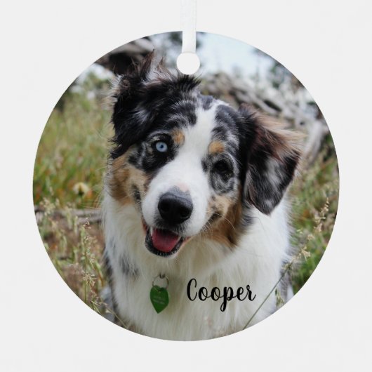 Merle Australian Shepherd Puppy Keramik Ornament (Vorderseite)