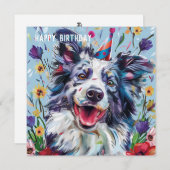 Merle Border Collie Birthday Karte (Vorne/Hinten)