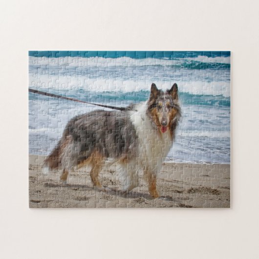 Merle Collie am Strand Puzzle (Horizontal)