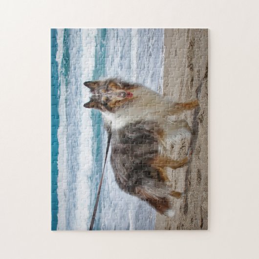 Merle Collie am Strand Puzzle (Vertikal)