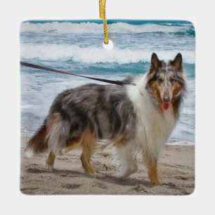 Merle Collie Hund am Strand Keramikornament