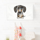Merle Dapple Dackel Niedliche Dackel Dog Banner (Insitu)