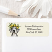 Merle Great Dane Dog Lemon Crown (Insitu)