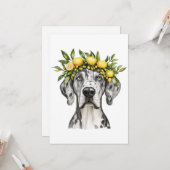 Merle Great Dane Dog Lemon Crown Karte (Vorderseite/Rückseite Beispiel)
