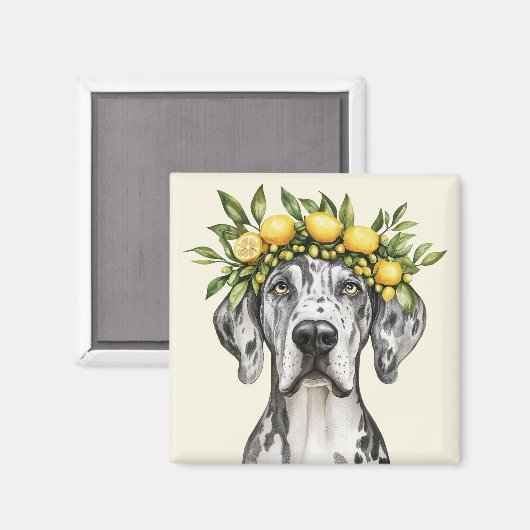 Merle Great Dane Dog Lemon Crown Magnet (Vorderseite/Rückseite)