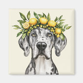 Merle Great Dane Dog Lemon Crown Magnet (Vorne)