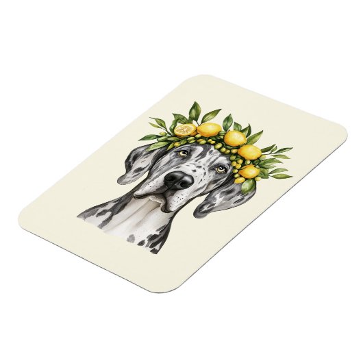 Merle Great Dane Dog Lemon Crown Magnet (Linke Seite)