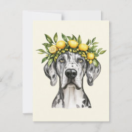 Merle Great Dane Dog Lemon Crown Postkarte