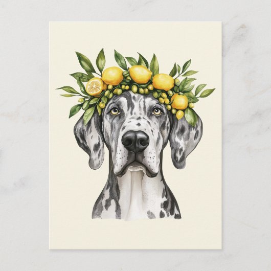 Merle Great Dane Dog Lemon Crown Postkarte (Vorderseite)