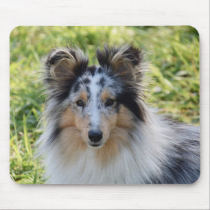 Merle Shetland Sheepdog - Sheltie Dog Mousepad