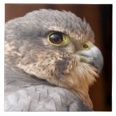 MERLIN FALCON BIRD OF PREY FLIESE (Vorderseite)