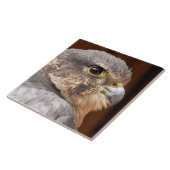 MERLIN FALCON BIRD OF PREY FLIESE (Seite)