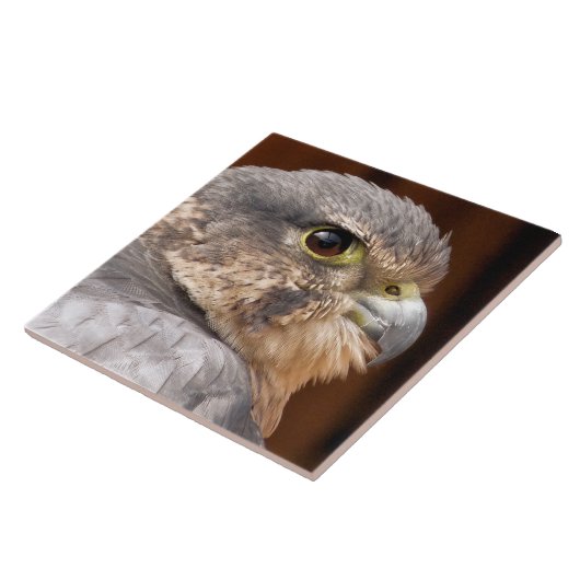 MERLIN FALCON BIRD OF PREY FLIESE (Seite)