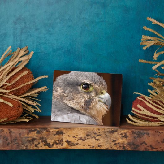 MERLIN FALCON BIRD OF PREY FOTOPLATTE (Seite)