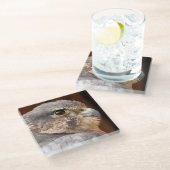 MERLIN FALCON BIRD OF PREY GLASUNTERSETZER (Schrägansicht)