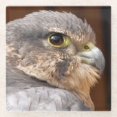 MERLIN FALCON BIRD OF PREY GLASUNTERSETZER (Vorderseite)