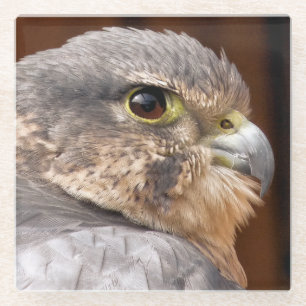 MERLIN FALCON BIRD OF PREY GLASUNTERSETZER