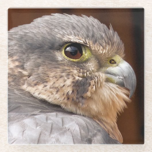 MERLIN FALCON BIRD OF PREY GLASUNTERSETZER (Vorderseite)