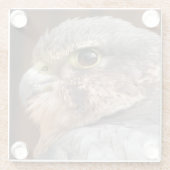 MERLIN FALCON BIRD OF PREY GLASUNTERSETZER (Rückseite)