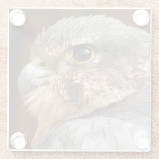 MERLIN FALCON BIRD OF PREY GLASUNTERSETZER (Rückseite)