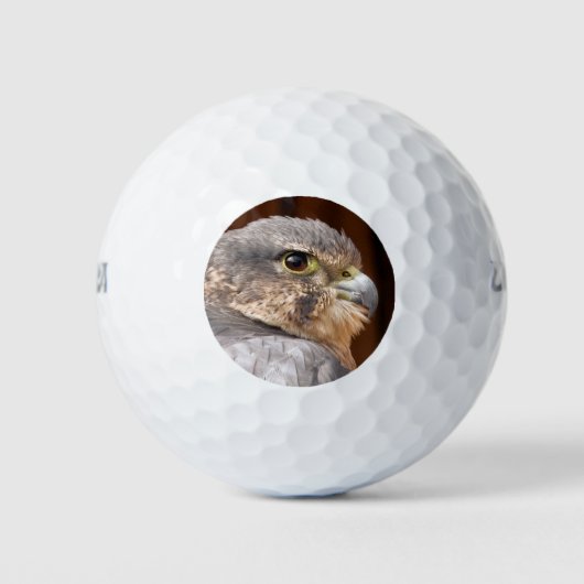 MERLIN FALCON BIRD OF PREY GOLFBALL (Vorderseite)