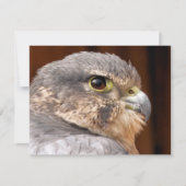 MERLIN FALCON BIRD OF PREY KARTE (Vorderseite)