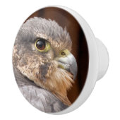 MERLIN FALCON BIRD OF PREY KERAMIKKNAUF (Rechts)