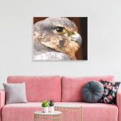 MERLIN FALCON BIRD OF PREY LEINWANDDRUCK (Insitu (Wohnzimmer))