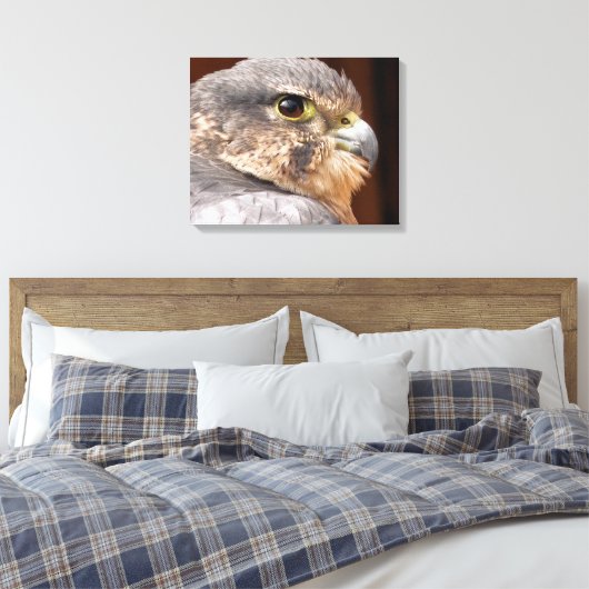 MERLIN FALCON BIRD OF PREY LEINWANDDRUCK (Insitu (Schlafzimmer))