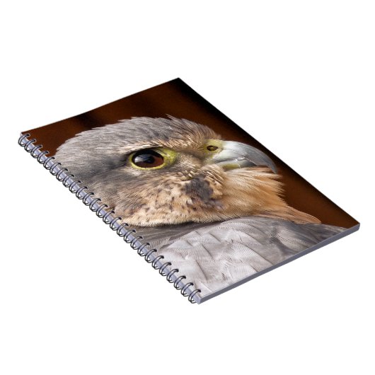 MERLIN FALCON BIRD OF PREY NOTIZBLOCK (Rechte Seite)
