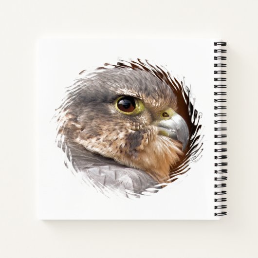 MERLIN FALCON BIRD OF PREY NOTIZBLOCK (Rückseite)