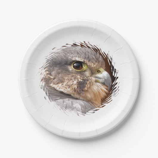 MERLIN FALCON BIRD OF PREY PAPPTELLER (Vorderseite)