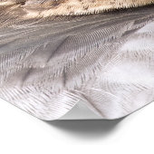 MERLIN FALCON BIRD OF PREY POSTER (Ecke)