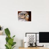 MERLIN FALCON BIRD OF PREY POSTER (Heimbüro)