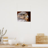 MERLIN FALCON BIRD OF PREY POSTER (Küche)