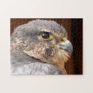 MERLIN FALCON BIRD OF PREY PUZZLE
