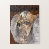 MERLIN FALCON BIRD OF PREY PUZZLE (Vertikal)
